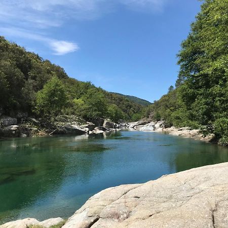 Chambre D'Hote Lavande - Le Soleil Des Cevennes Saint-Jean-du-Gard Bagian luar foto