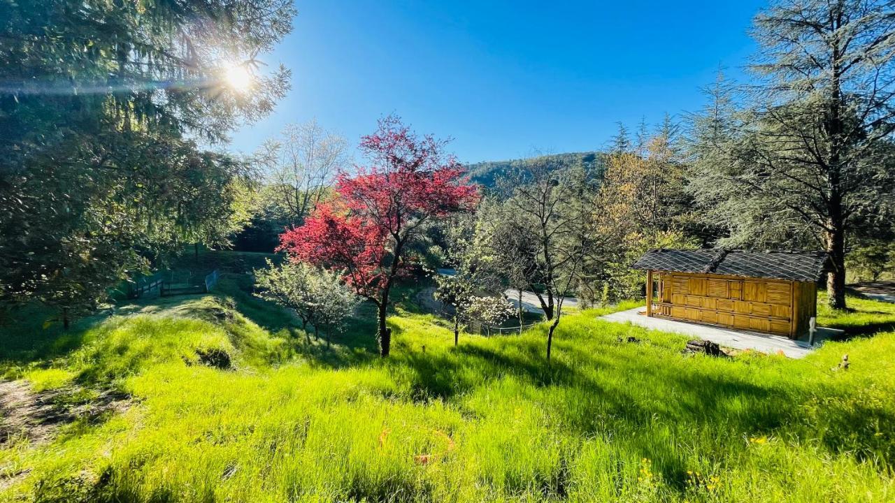 Chambre D'Hote Lavande - Le Soleil Des Cevennes Saint-Jean-du-Gard Bagian luar foto