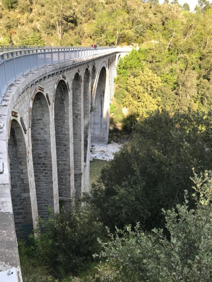 Chambre D'Hote Lavande - Le Soleil Des Cevennes Saint-Jean-du-Gard Bagian luar foto