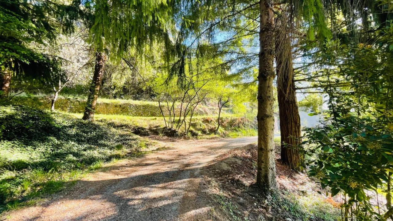 Chambre D'Hote Lavande - Le Soleil Des Cevennes Saint-Jean-du-Gard Bagian luar foto