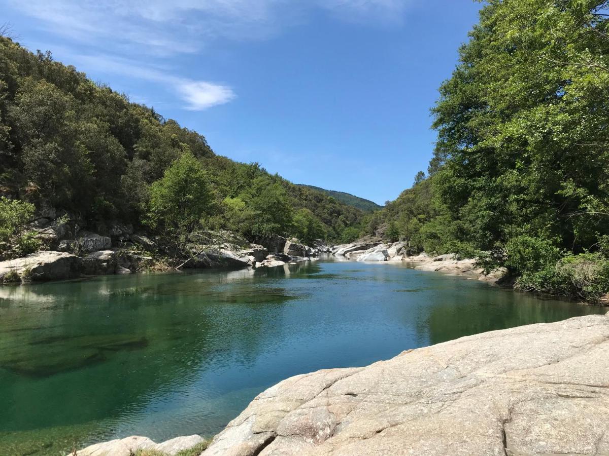 Chambre D'Hote Lavande - Le Soleil Des Cevennes Saint-Jean-du-Gard Bagian luar foto