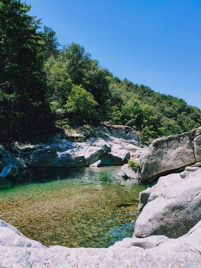 Chambre D'Hote Lavande - Le Soleil Des Cevennes Saint-Jean-du-Gard Bagian luar foto